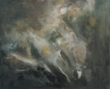 Moth wing close up 1